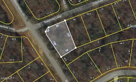 112 Dalefield Loop