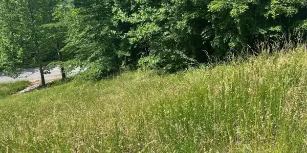 lot 214 Suncrest Cove