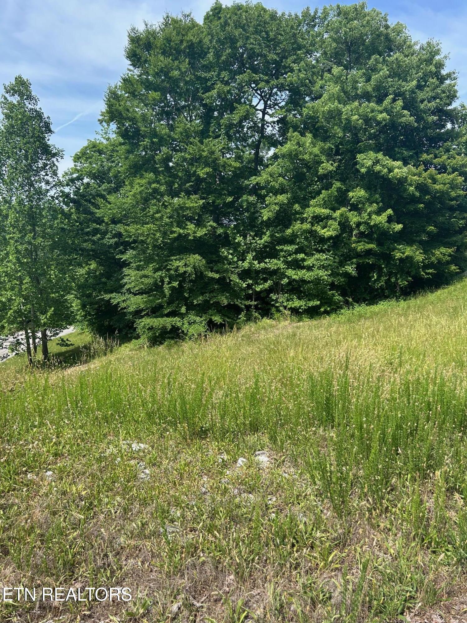 Image 2: IMG_2014