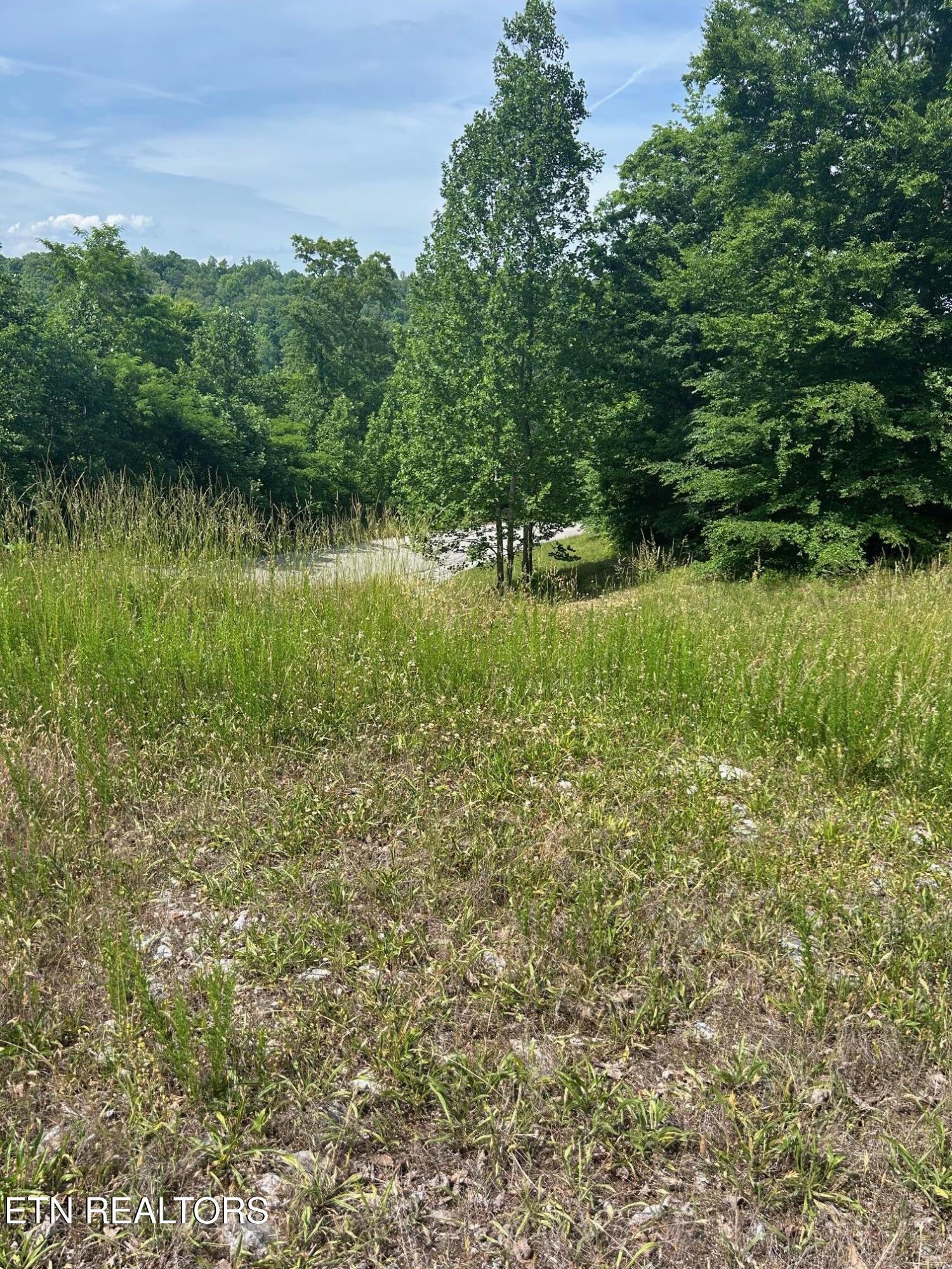 Image 3: IMG_2015