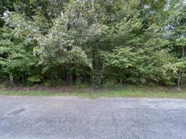 113 Knollwood Lane
