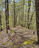 Lot 58 Ridgeland Drive