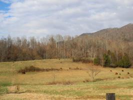 Tract 4 Rough House Hollow Rd 4
