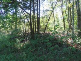 1.30ac Rock Springs Rd 67