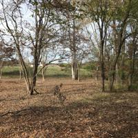 Lot 30 Nunnehi Tr