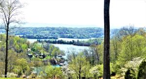 Deerwood Lane