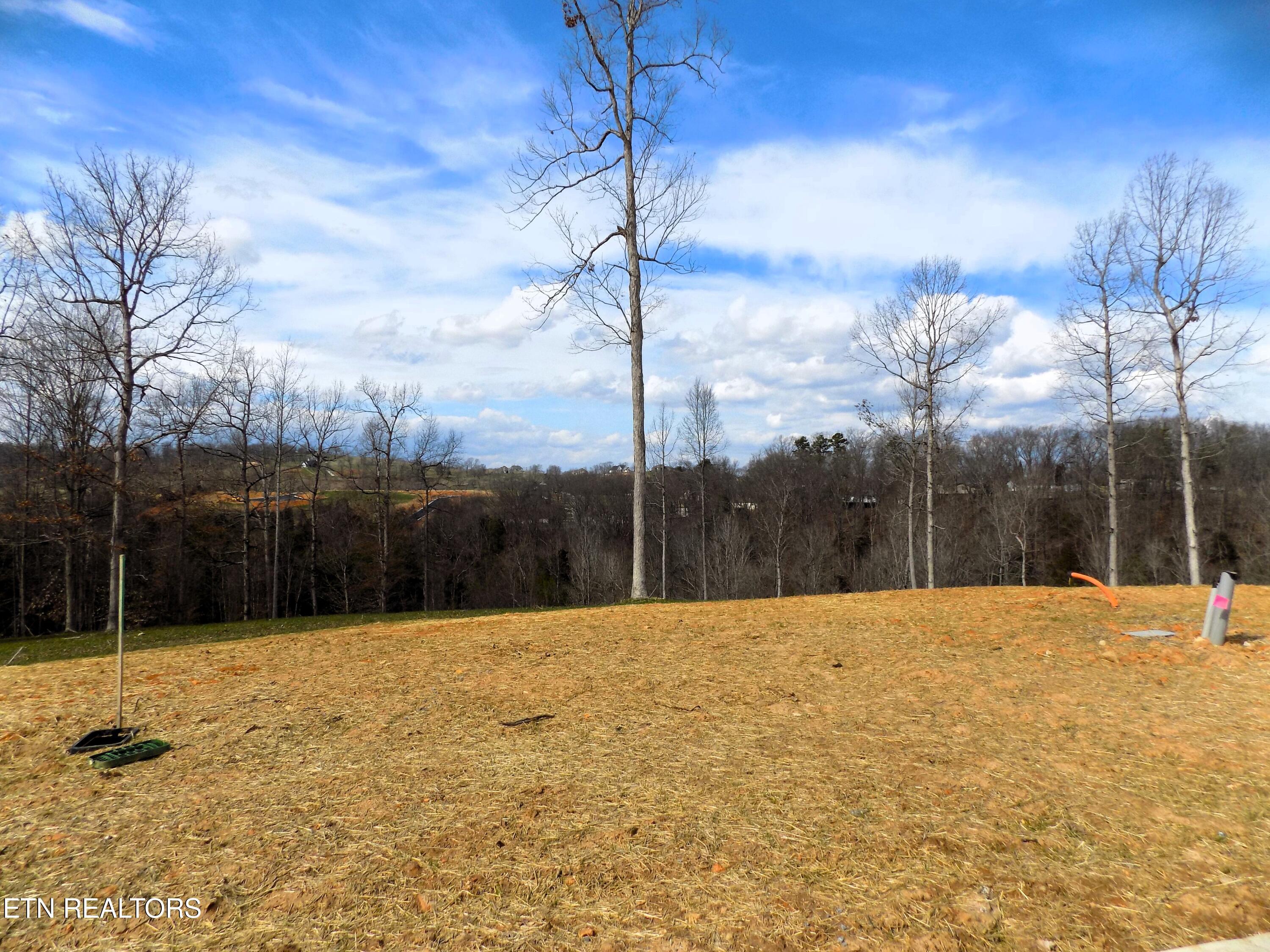 Image 1: Lot 35