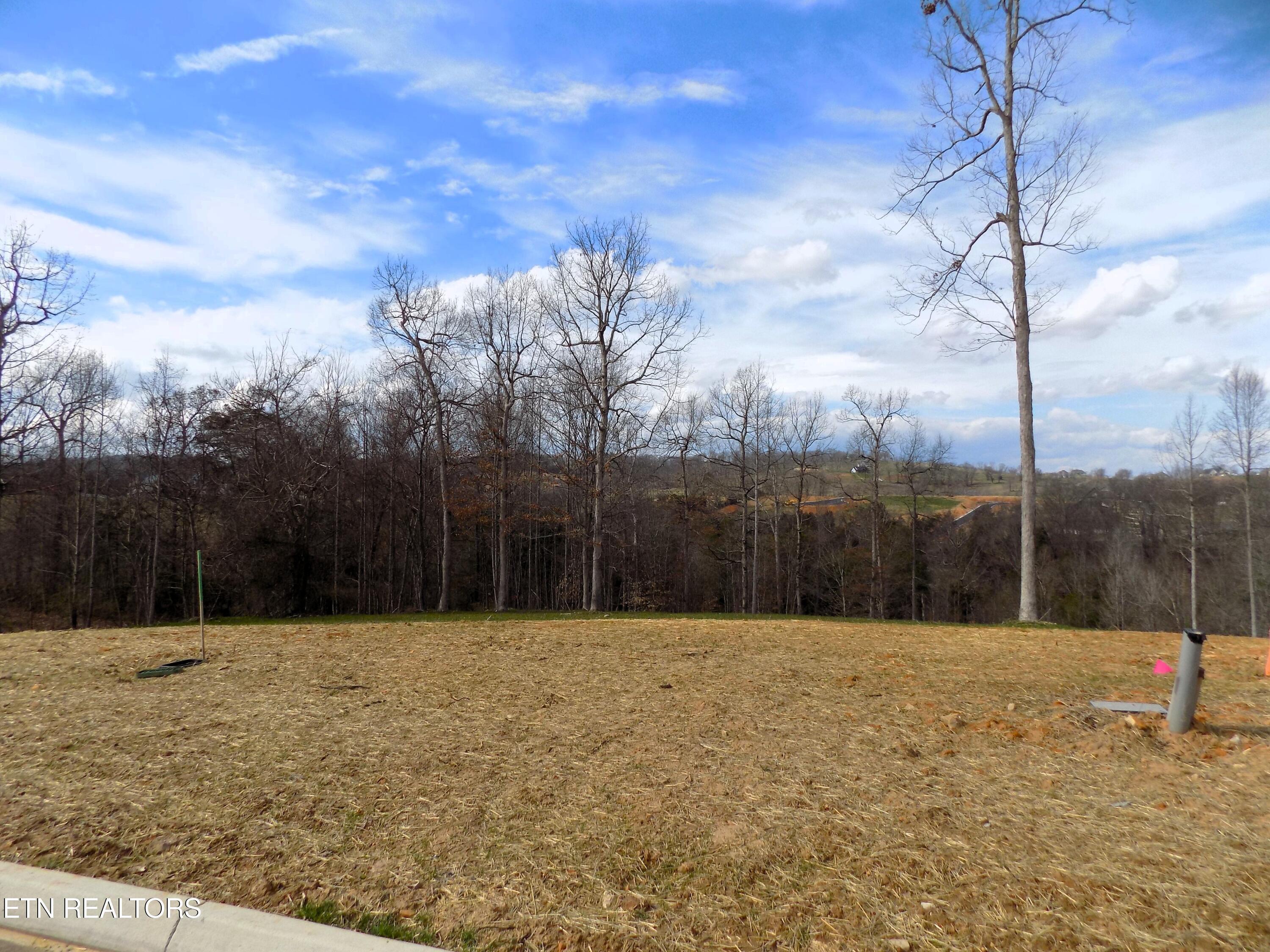 Image 2: Lot 35