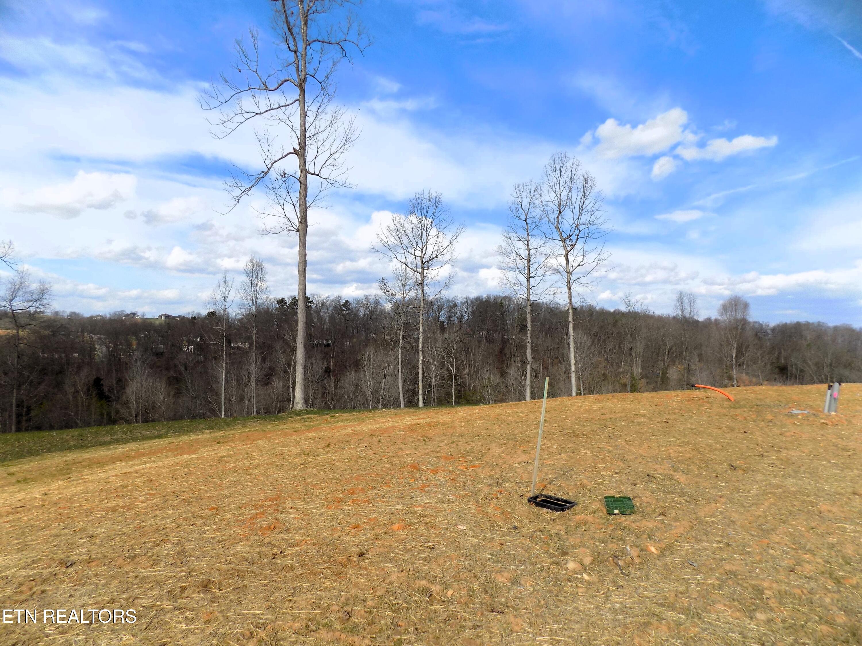 Image 3: Lot 35