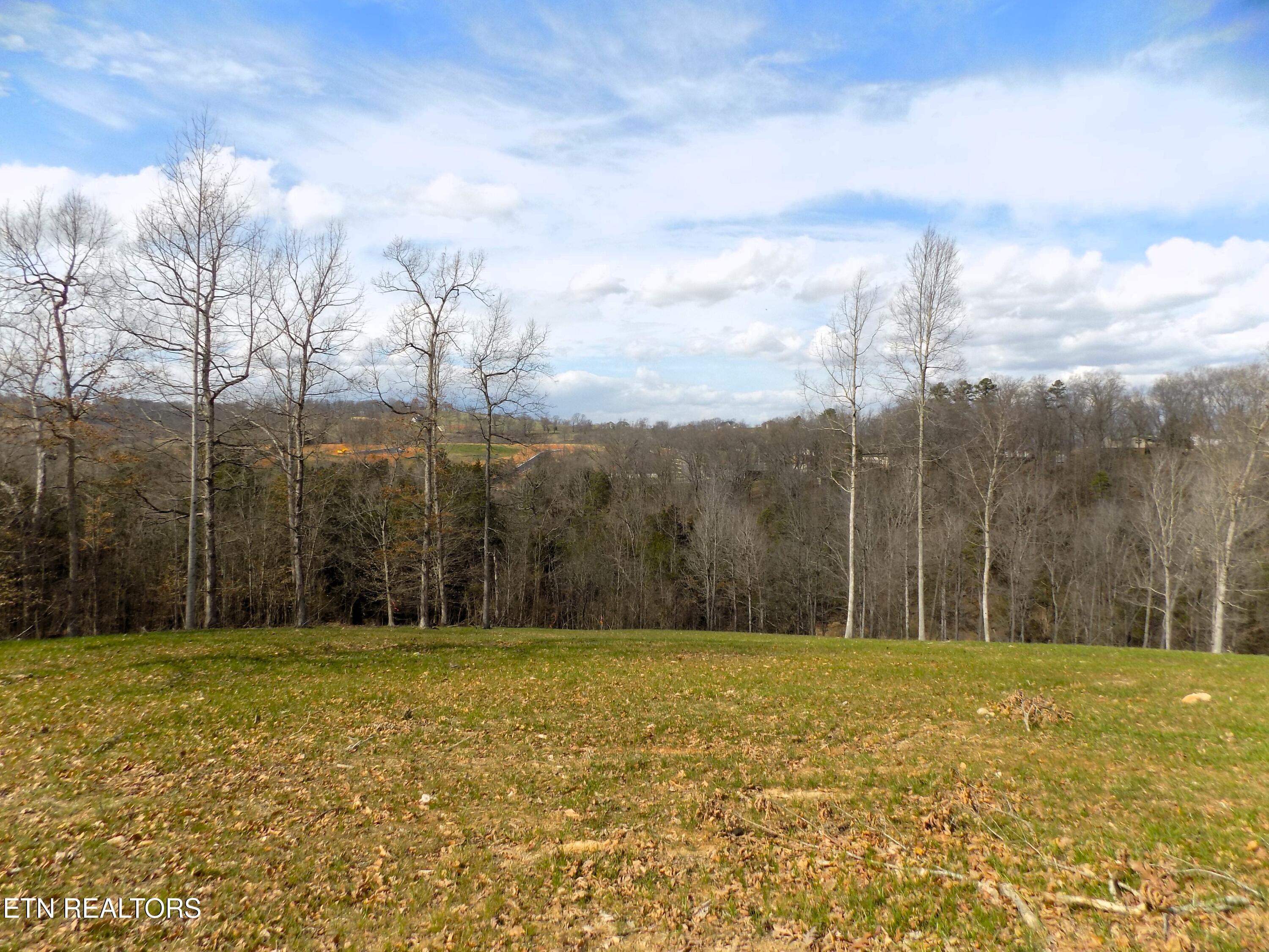 Image 4: Lot 35