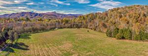855 Lovely Bluff Rd