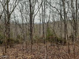 Lot 210 Suncrest Cove
