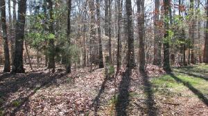 Lot 11 Golanvyi Trail