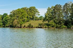 304 Morganton Cove  17