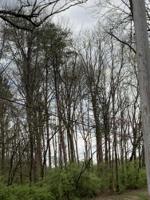 Eagle Bend Rd