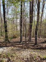 Lot 38 Shorewood Lane
