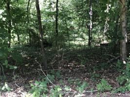 211 Osage Lane