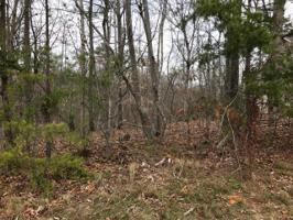102 Osage Lane 2