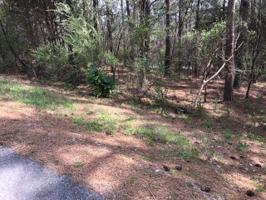 146 Gigi Lane 18