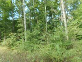 6012 6014 Keta Lane
