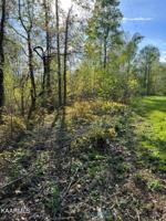 Lot 293 Pine Hollow Rd