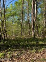 Lot 253 Pine Hollow Rd