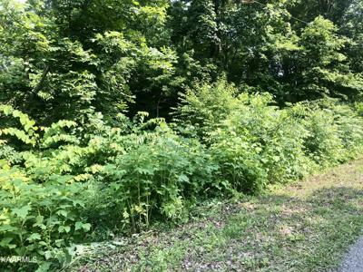 Pine Hollow Rd