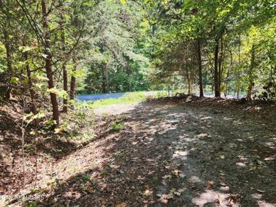 Timber Ridge Rd