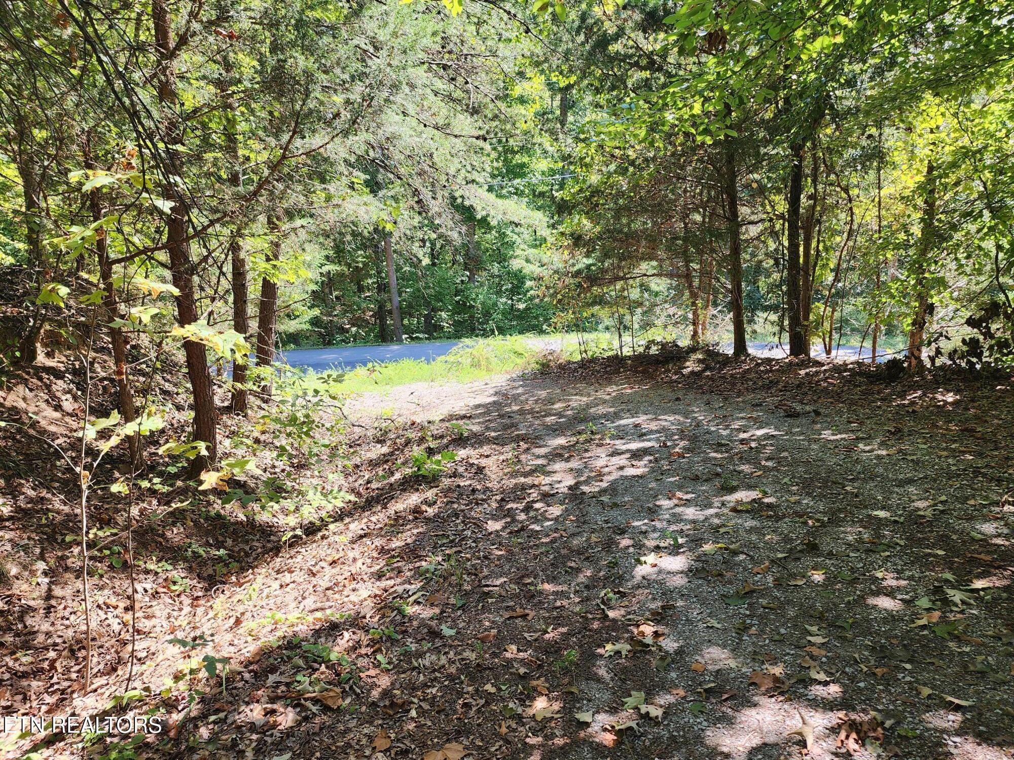 Image 1: Entry to lot