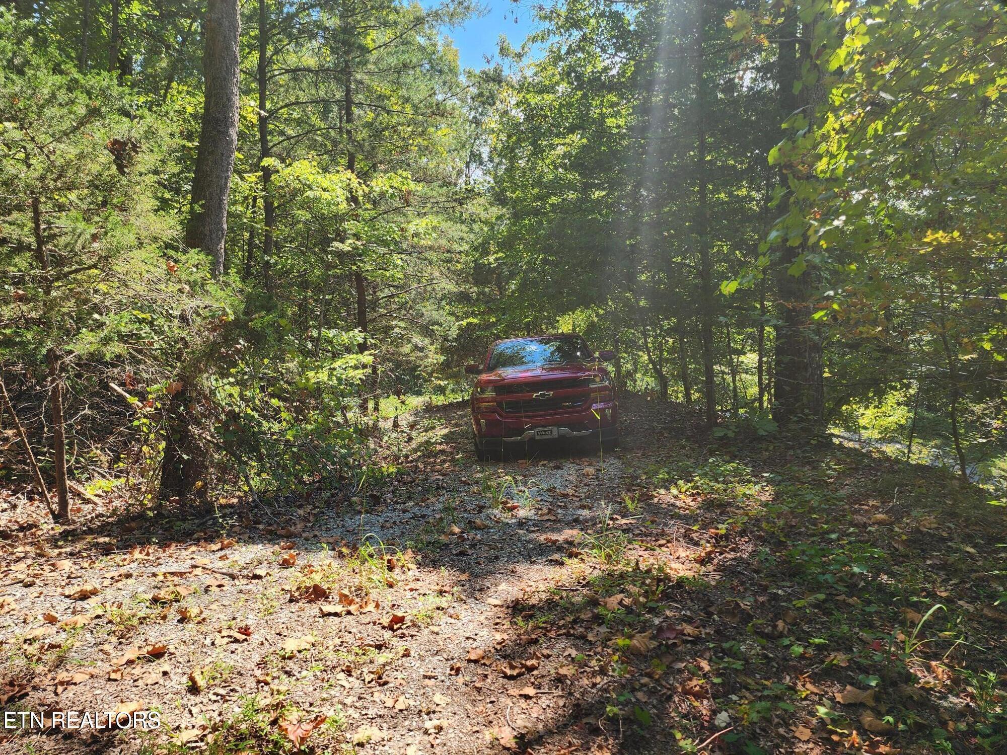 Image 2: Drive roughed in