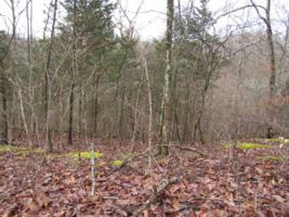 2.20 Ac. Rock Springs Road