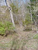 1007 Goti Drive