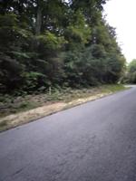 Fox Ridge Lane