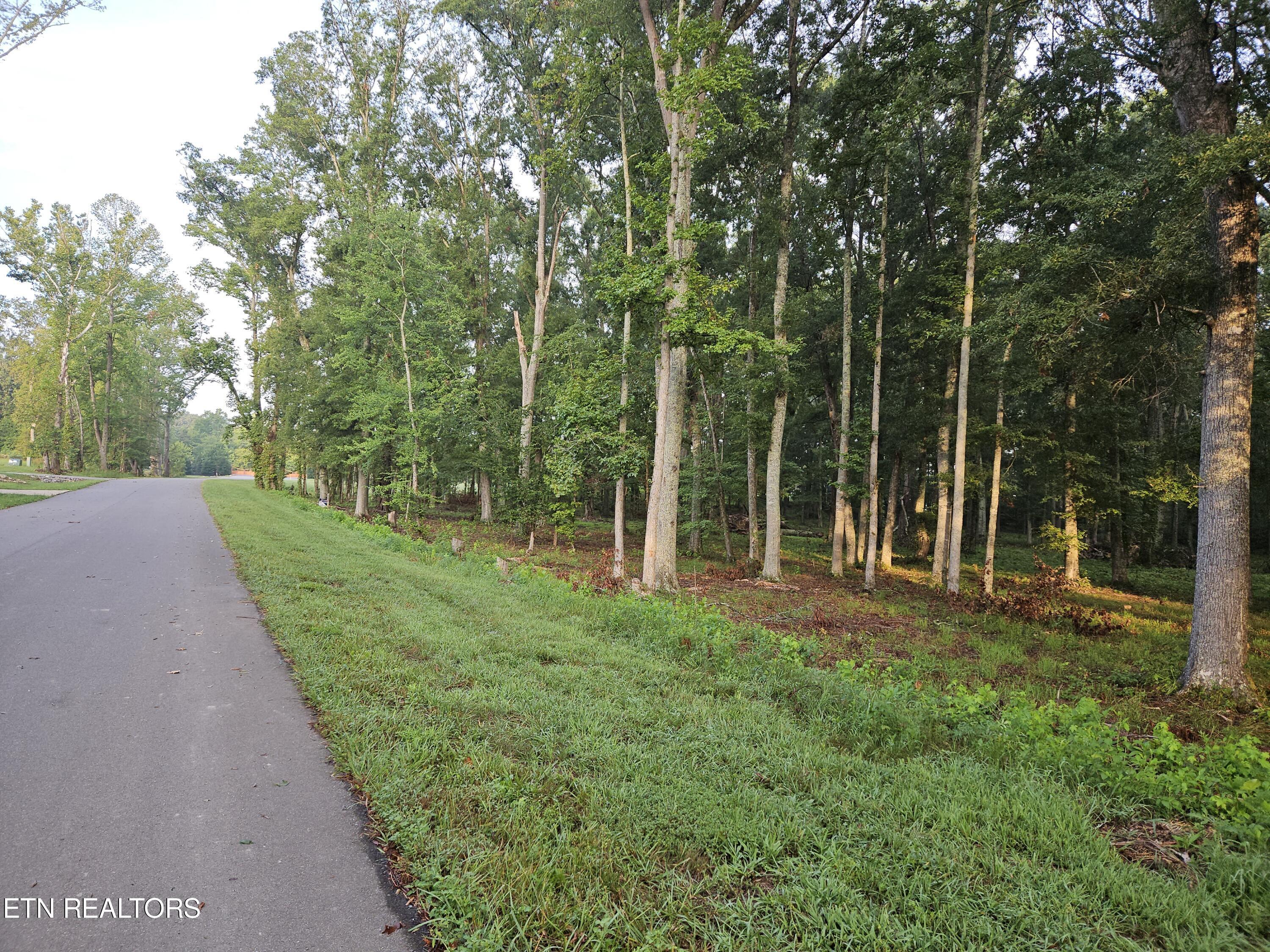 Lot 5 Deerwood Drive, Dandridge, TN lhrmls01490947