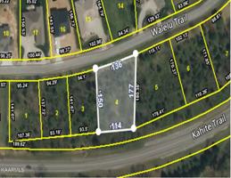 Lot 4 E Walelu Tr