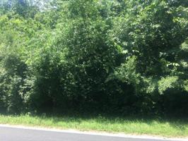 235 Chuniloti Way 23