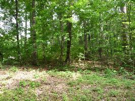 Lot 4 Block 2 Oostanali Way 4 219