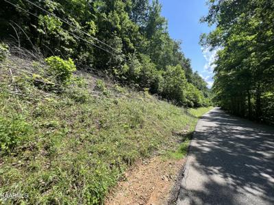 lot 177 Yoakum Hollow Rd