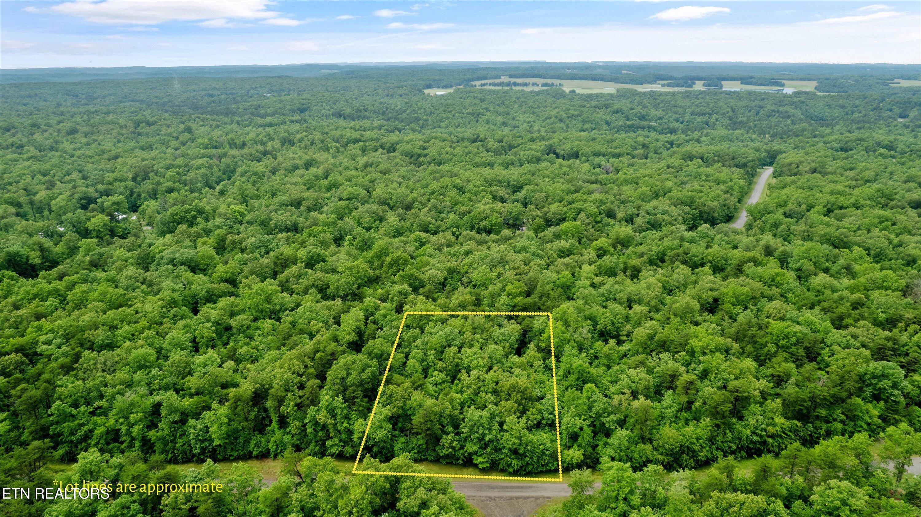Image 1: 02-Ash Mountain Dr-001