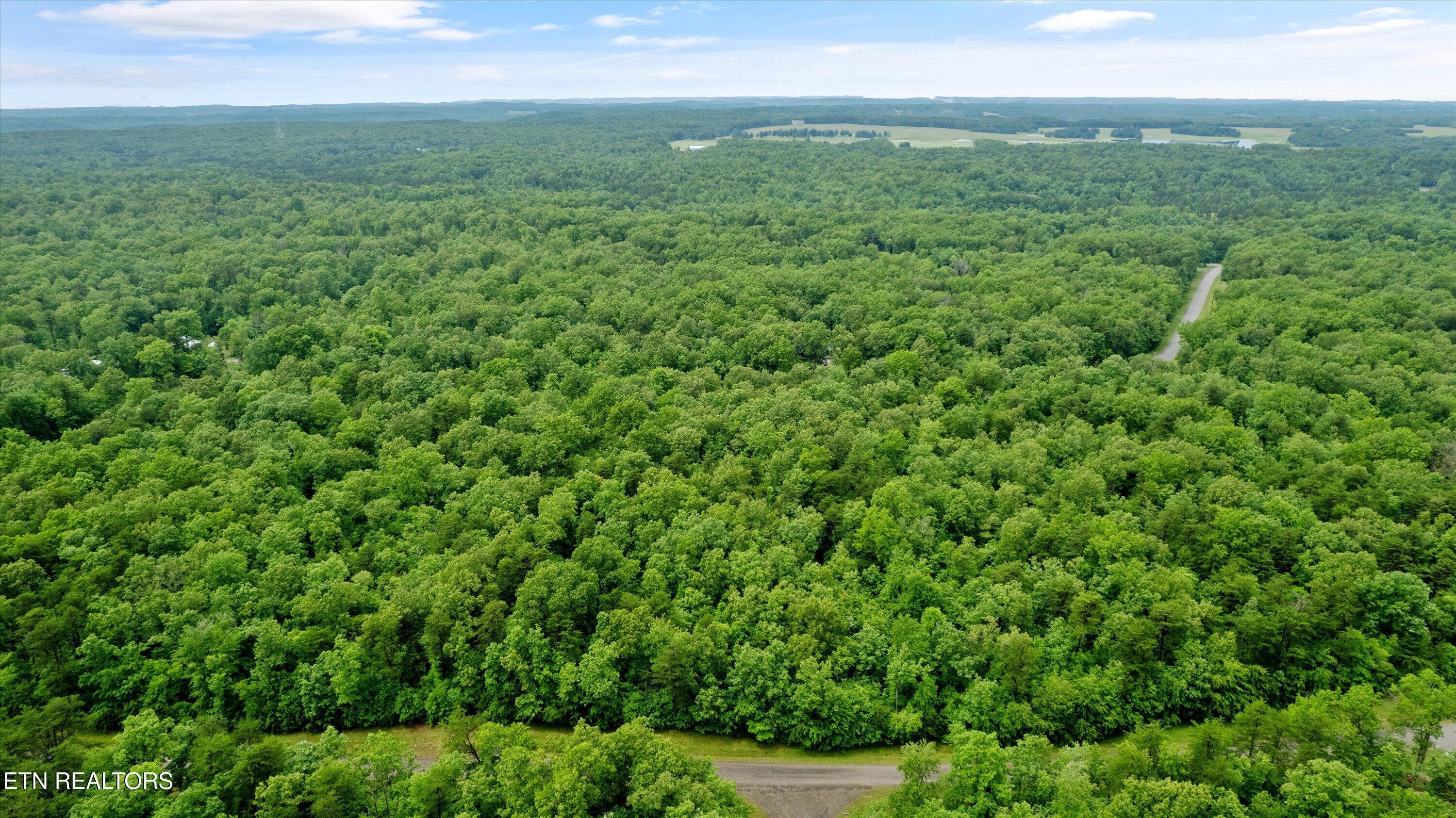 Image 2: 01-Ash Mountain Dr-001
