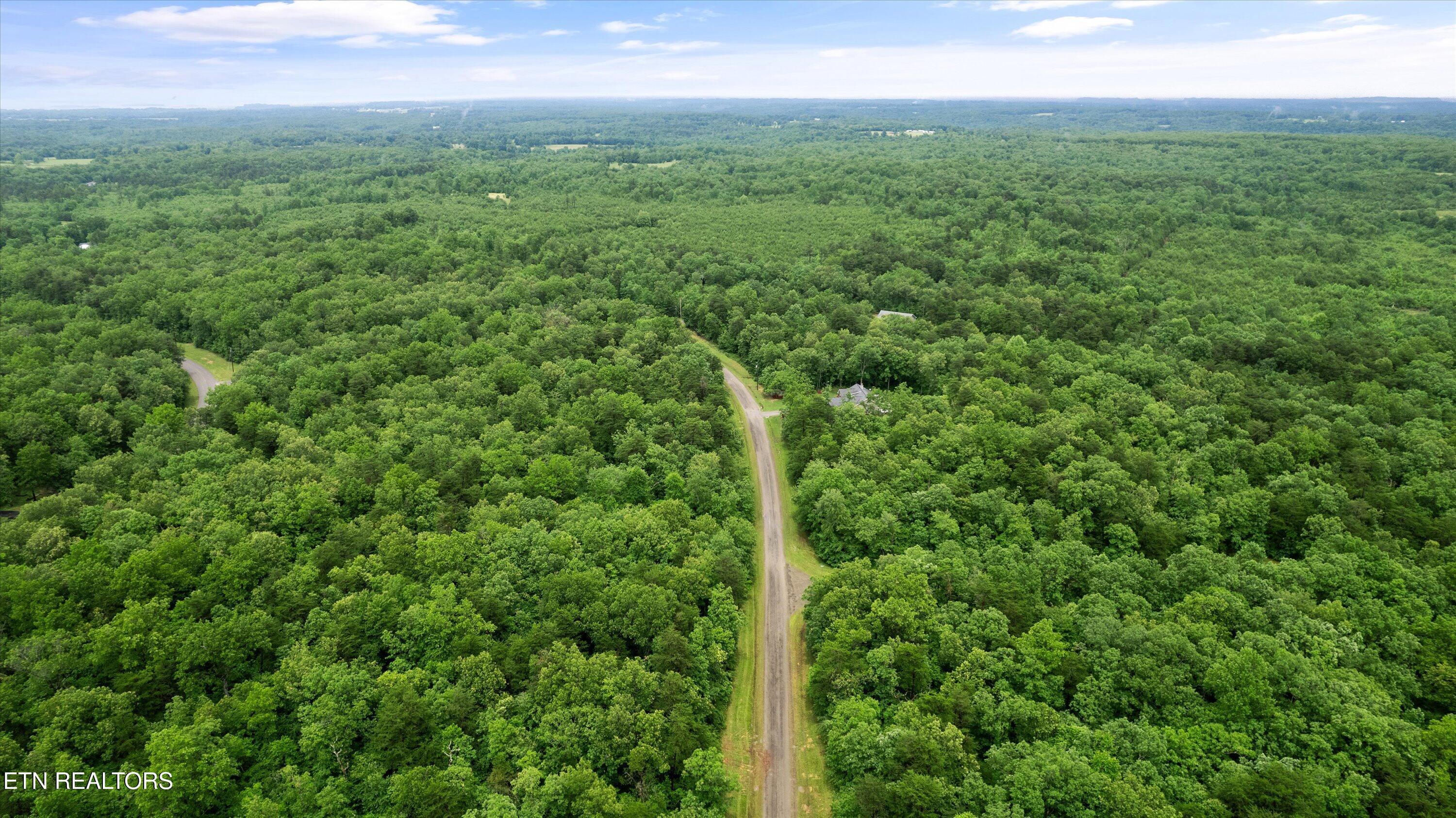 Image 3: 03-Ash Mountain Dr-002