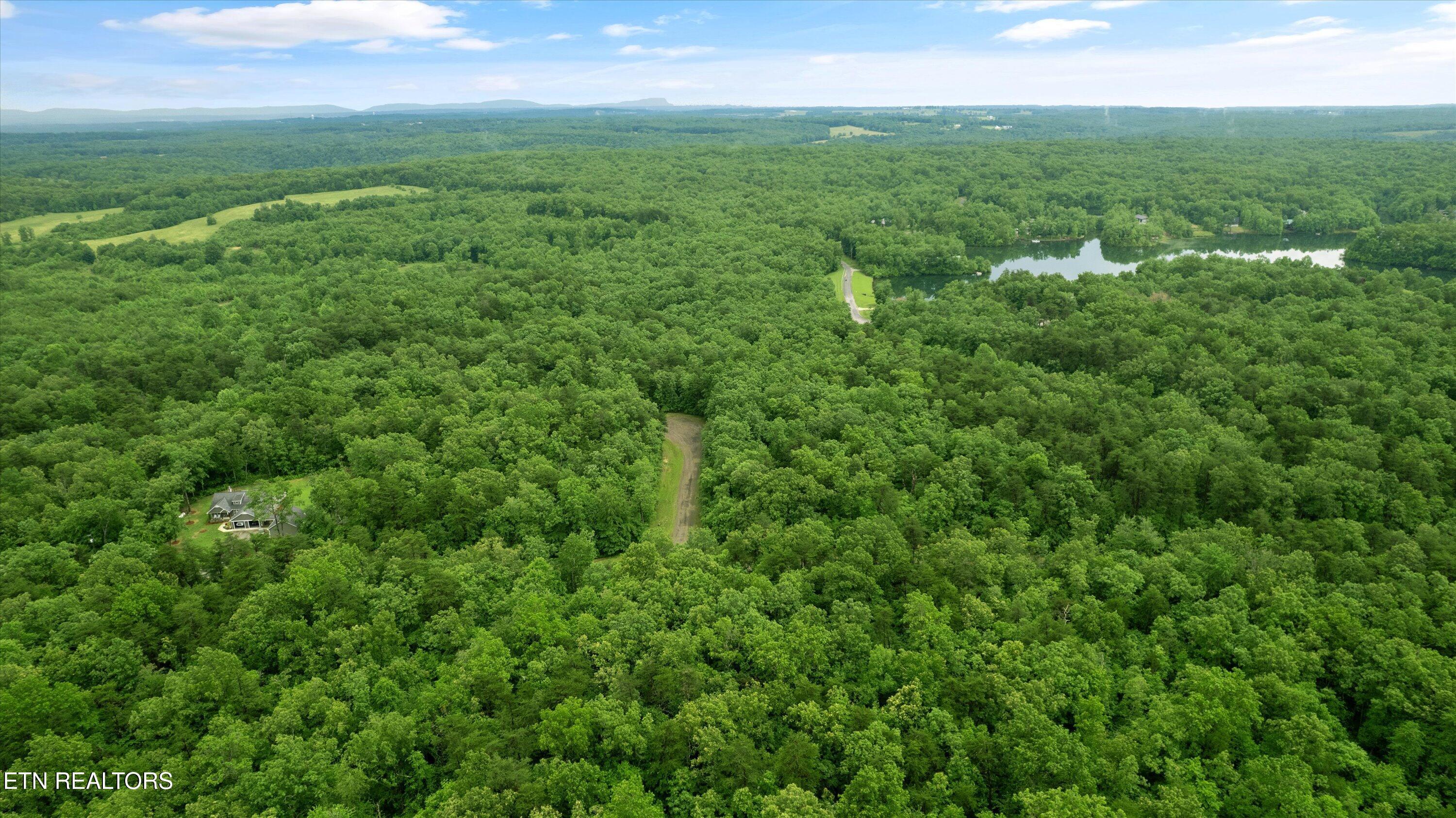 Image 4: 04-Ash Mountain Dr-003