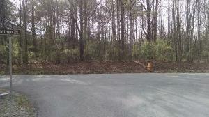 368 Mingo Way