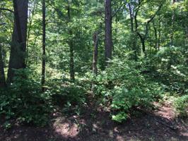 542 Saint George Drive