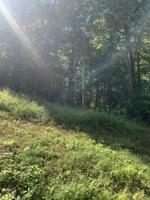Lot 84 Lake Brook Lane