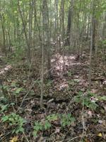 Lot 92 Kays Drive