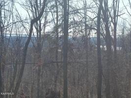 1409 Echota Lane