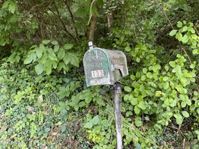 133 Persimmon Rd