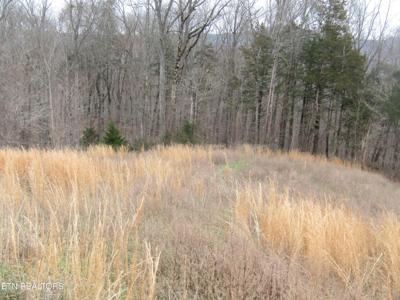 Lot 58A1 Goose Rd