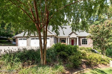 234 Cheestana Way